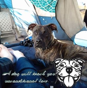 Meet your Posher, Alice